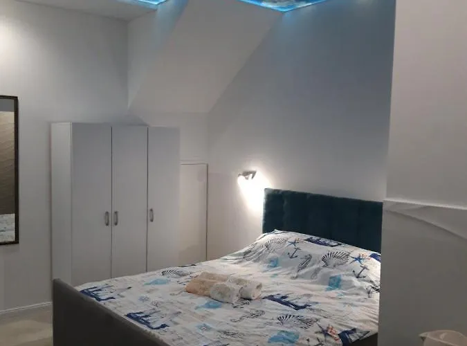 Krtolica نوفي ساد